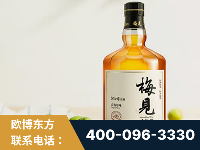 攀枝花-梅见青梅酒